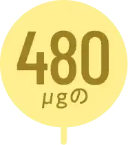 480μgの