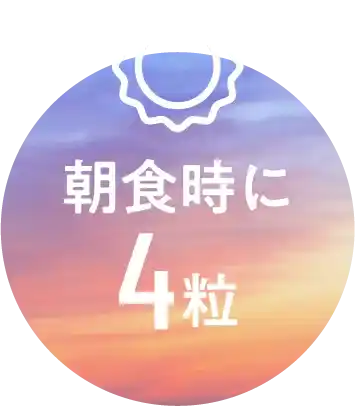 朝食時に4粒
