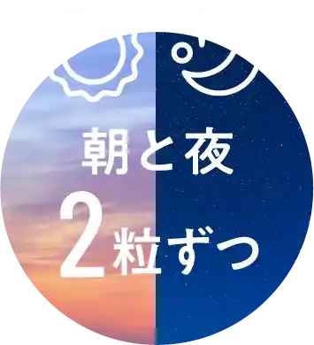 朝と夜2粒ずつ