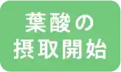 葉酸の摂取開始