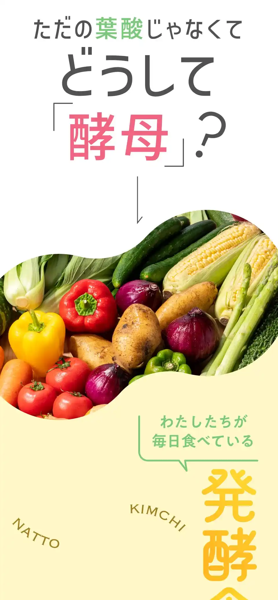 ただの葉酸じゃなくてどうして「酵母」？