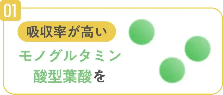 吸収率が高いモノグルタミン酸型葉酸を