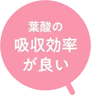 葉酸の吸収効率が良い