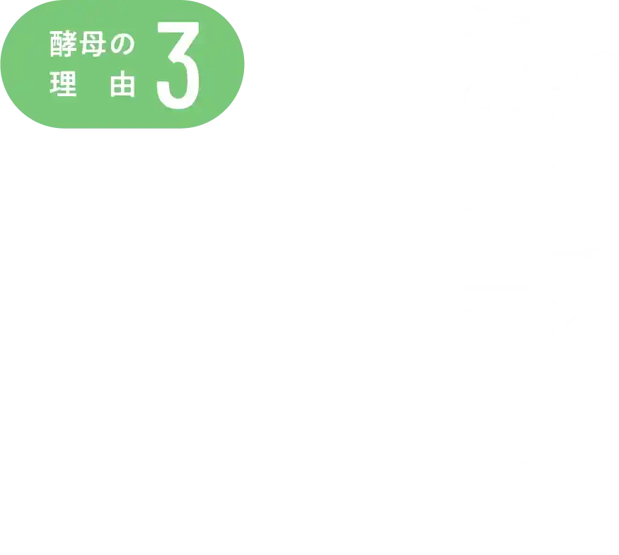 酵母の理由3
