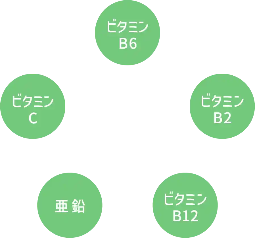 ビタミンB6 ビタミンB2 ビタミンB12 亜鉛 ビタミンC