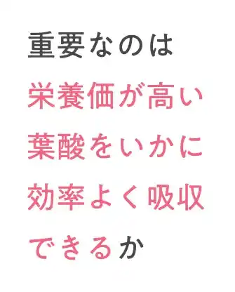 重要なのは栄養価が高い葉酸をいかに効率よく吸収できるか